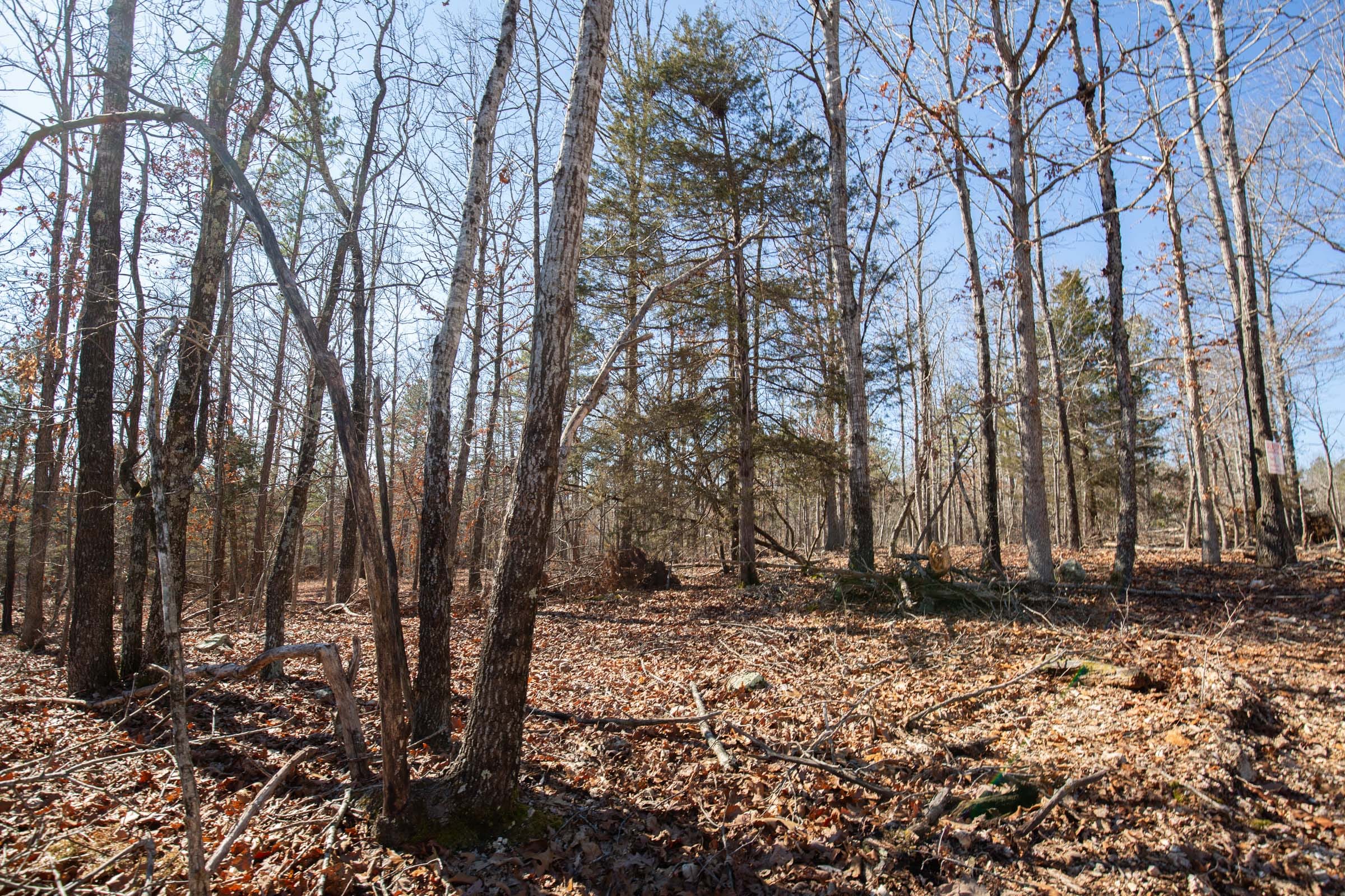 O’Connor Crossing Tract 8 photo 3
