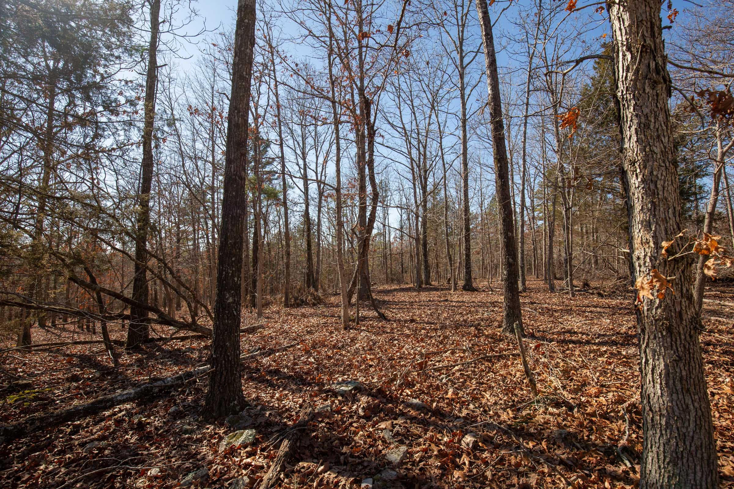 O’Connor Crossing Tract 8 photo 4