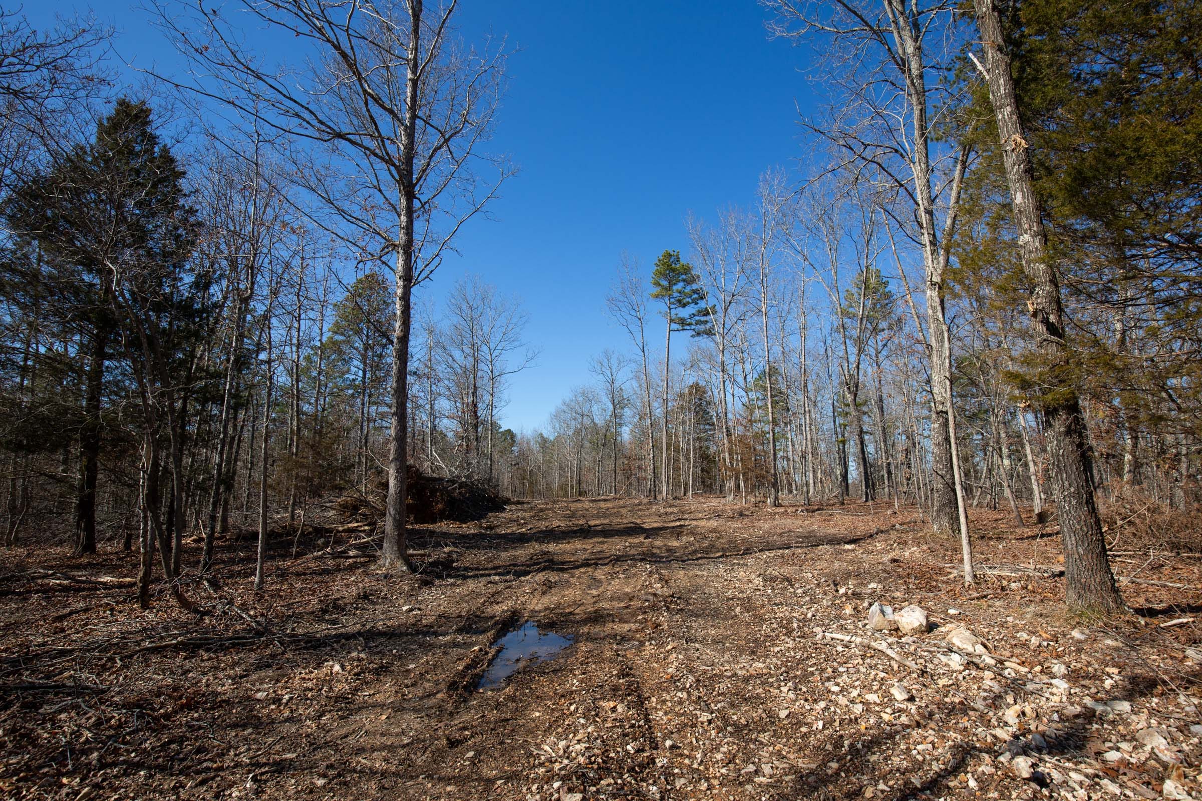 O’Connor Crossing Tract 8 photo 9