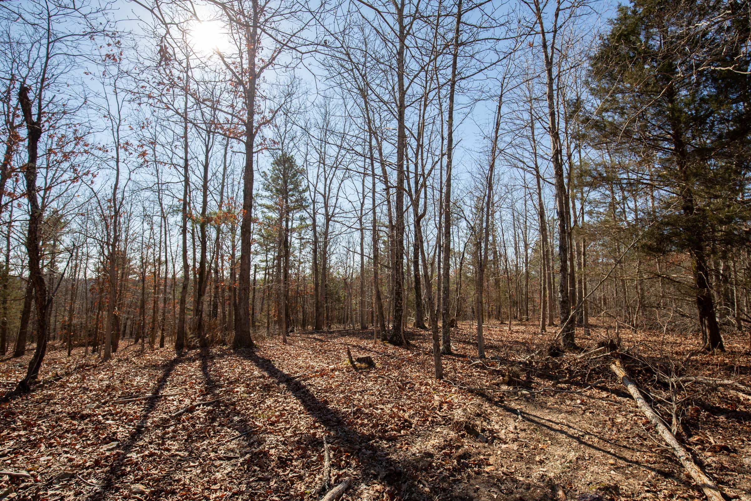 O’Connor Crossing Tract 8 photo 5