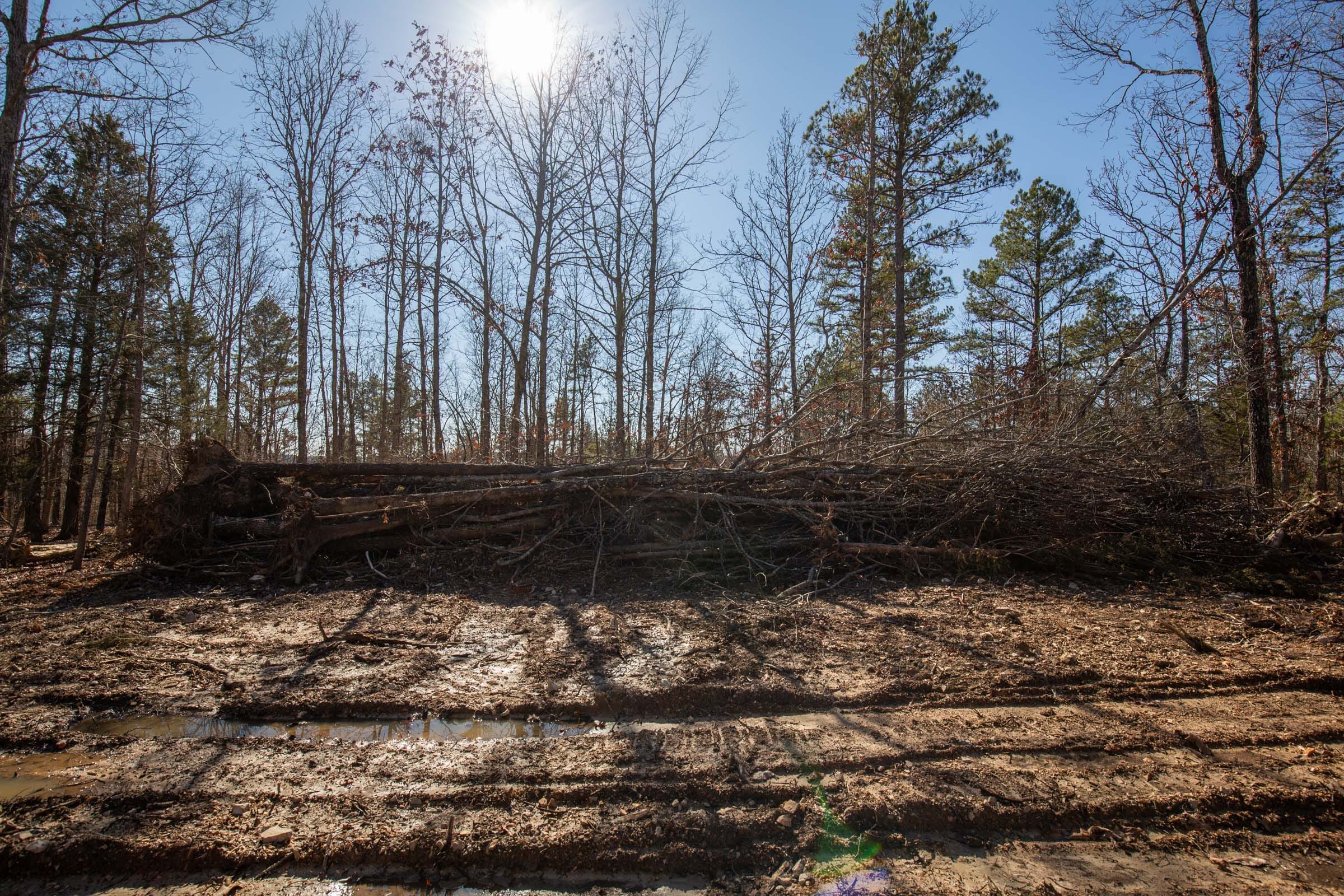 O’Connor Crossing Tract 8 photo 7