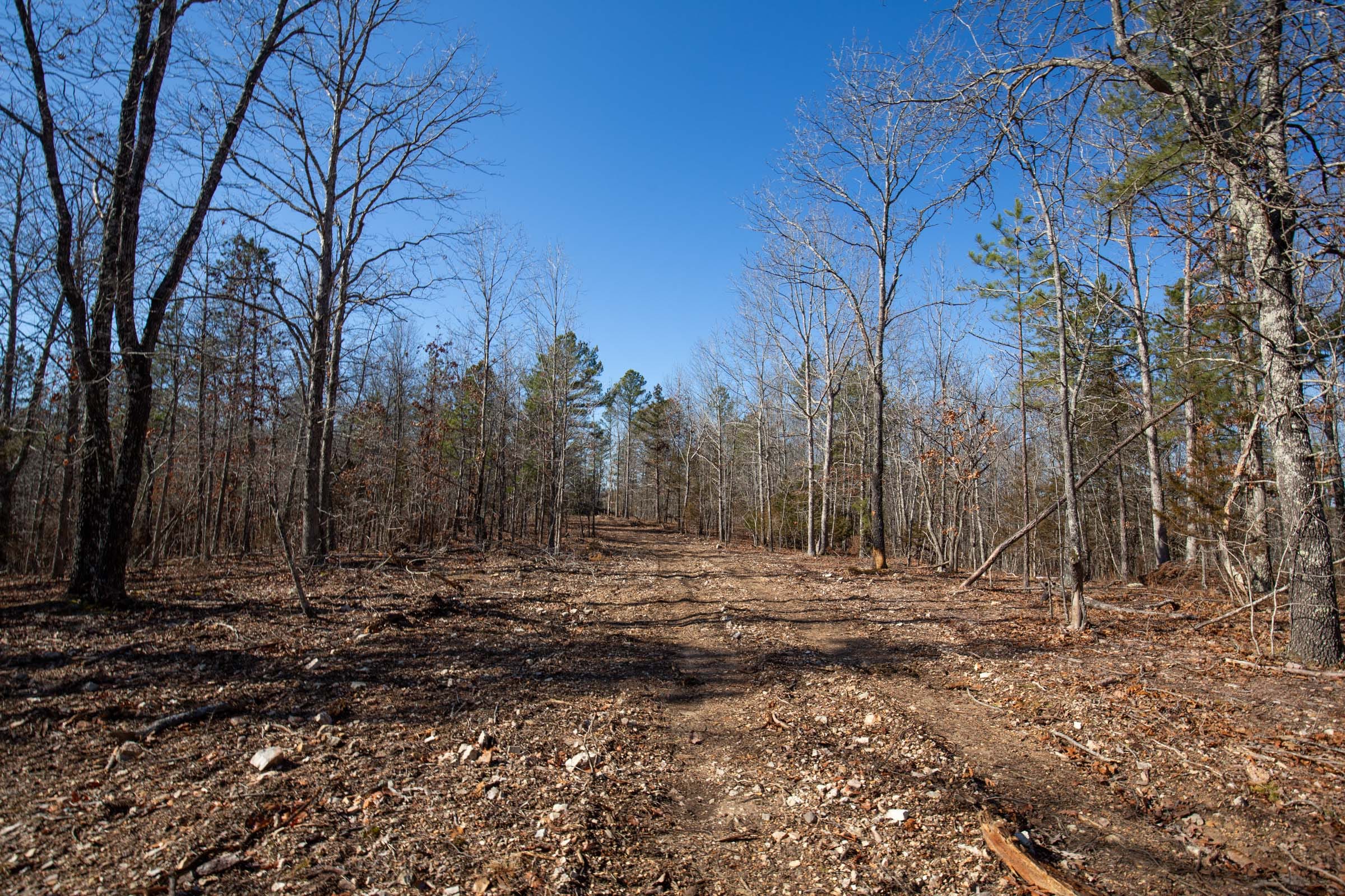 O’Connor Crossing Tract 8 photo 6