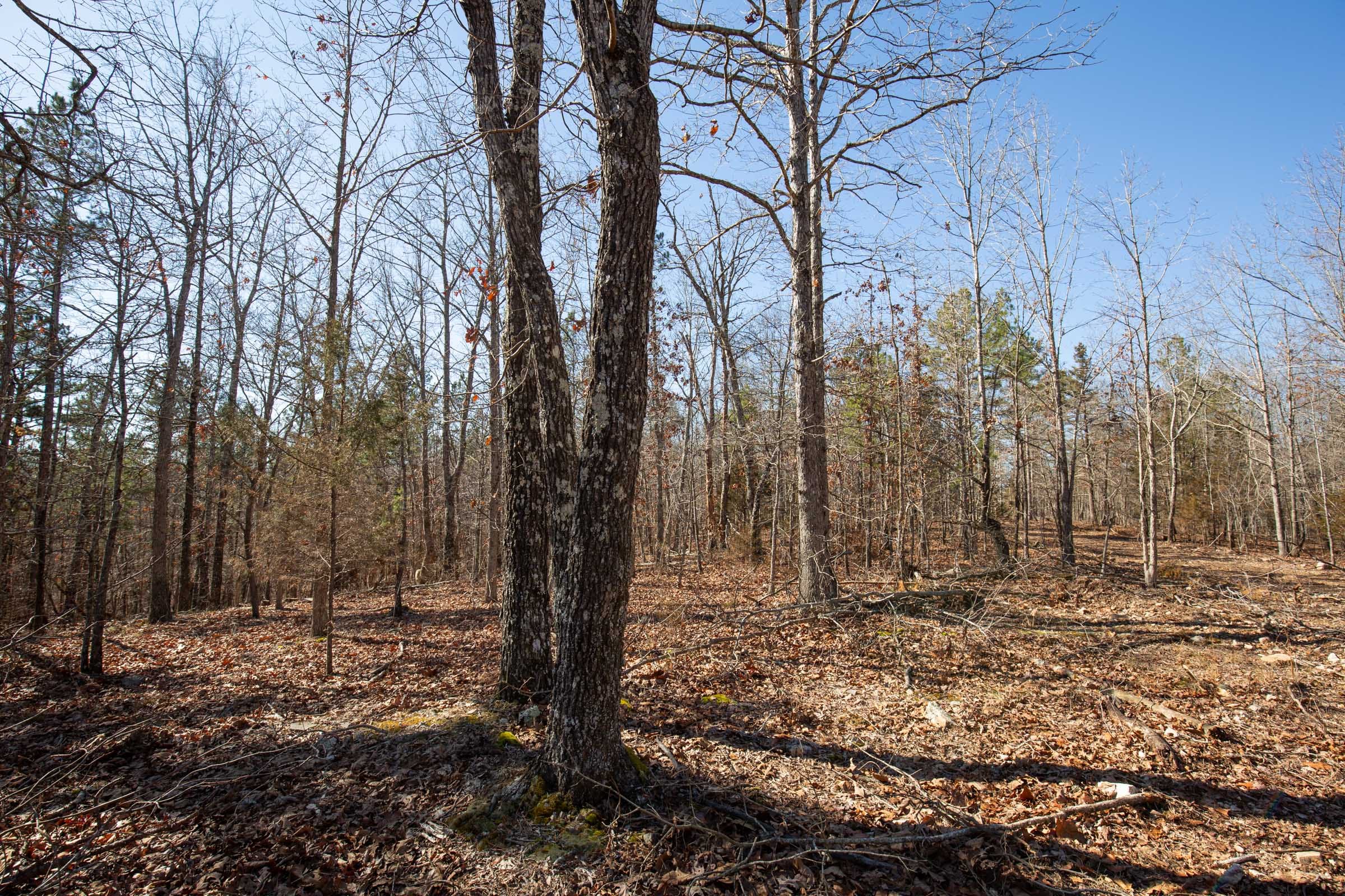 O’Connor Crossing Tract 8 photo 8