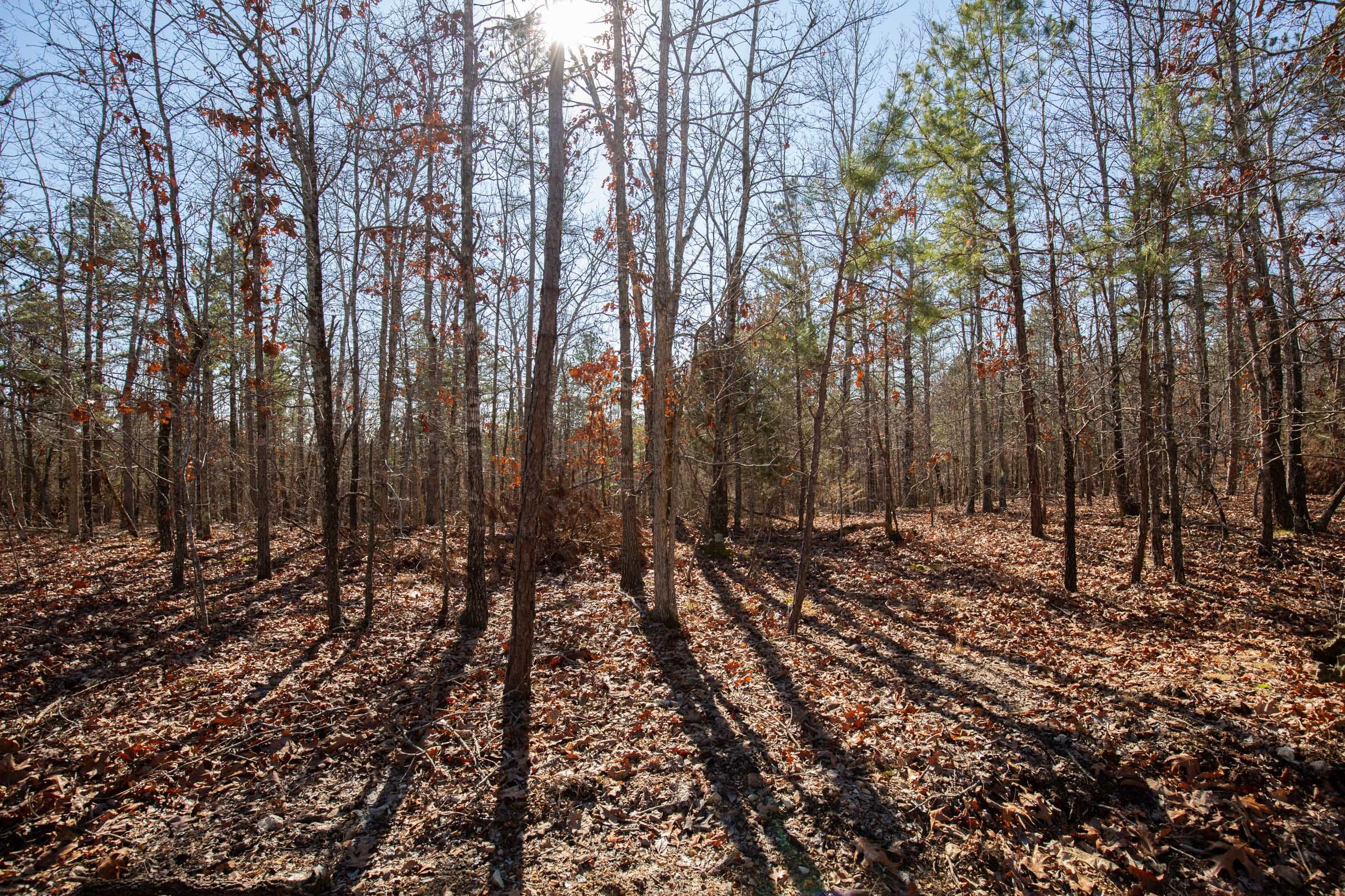 O’Connor Crossing Tract 8 photo 10