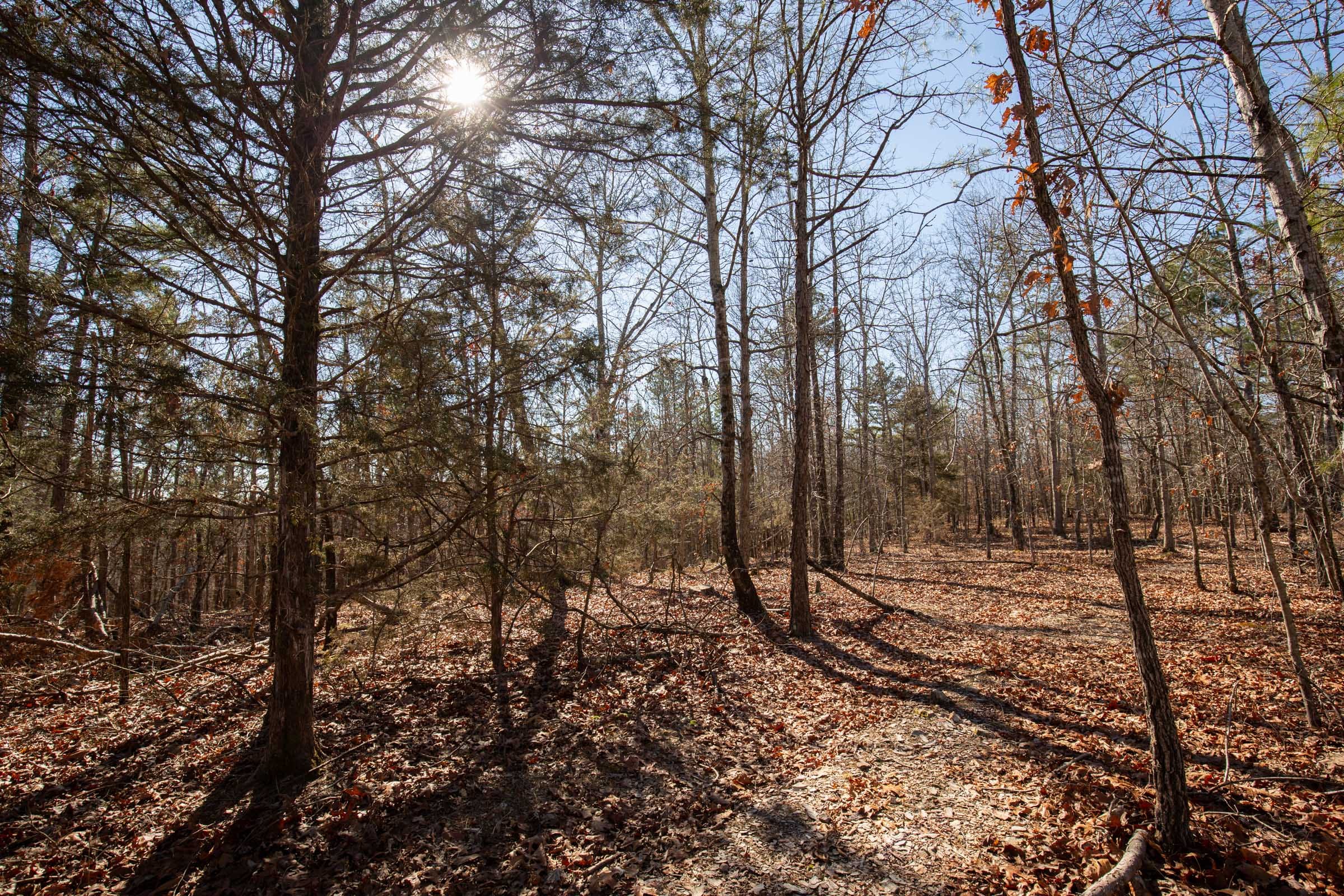 O’Connor Crossing Tract 8 photo 11
