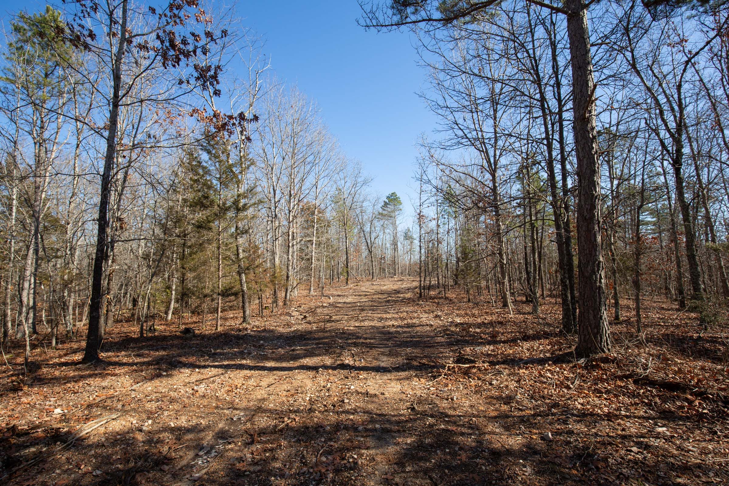 O’Connor Crossing Tract 8 photo 12