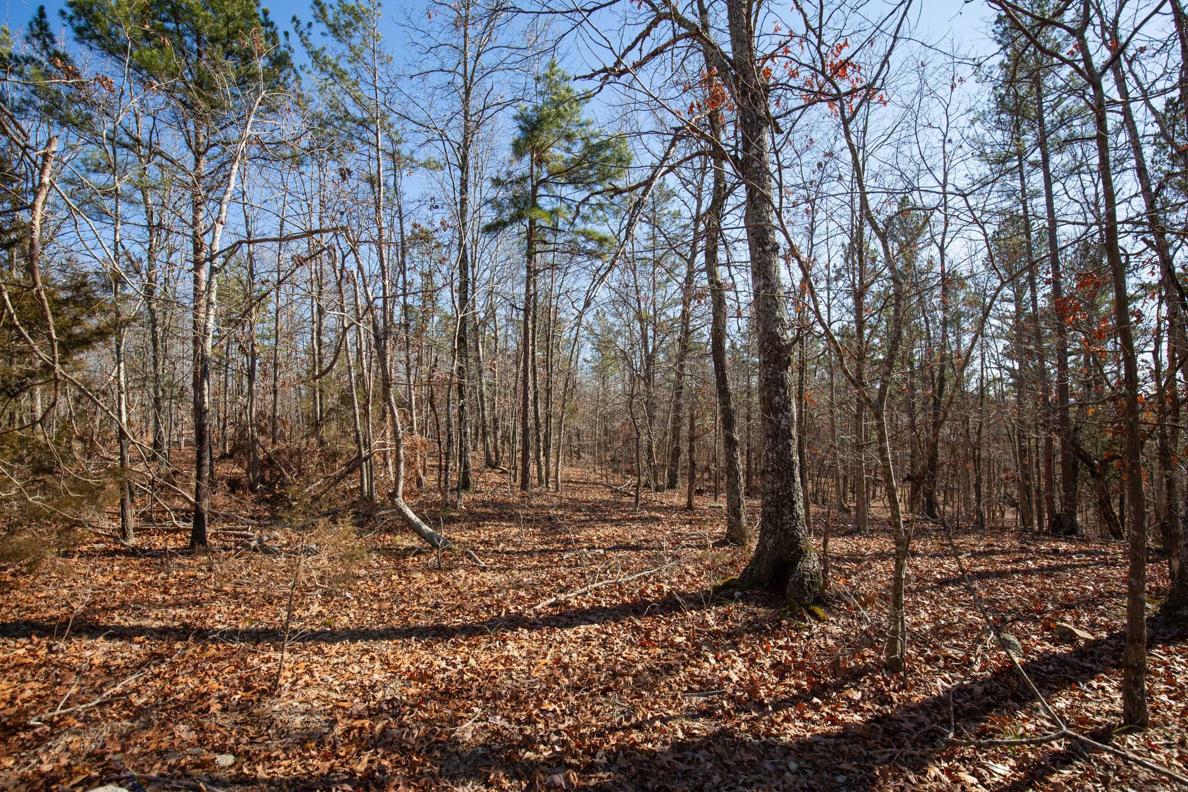 O’Connor Crossing Tract 8 photo 13