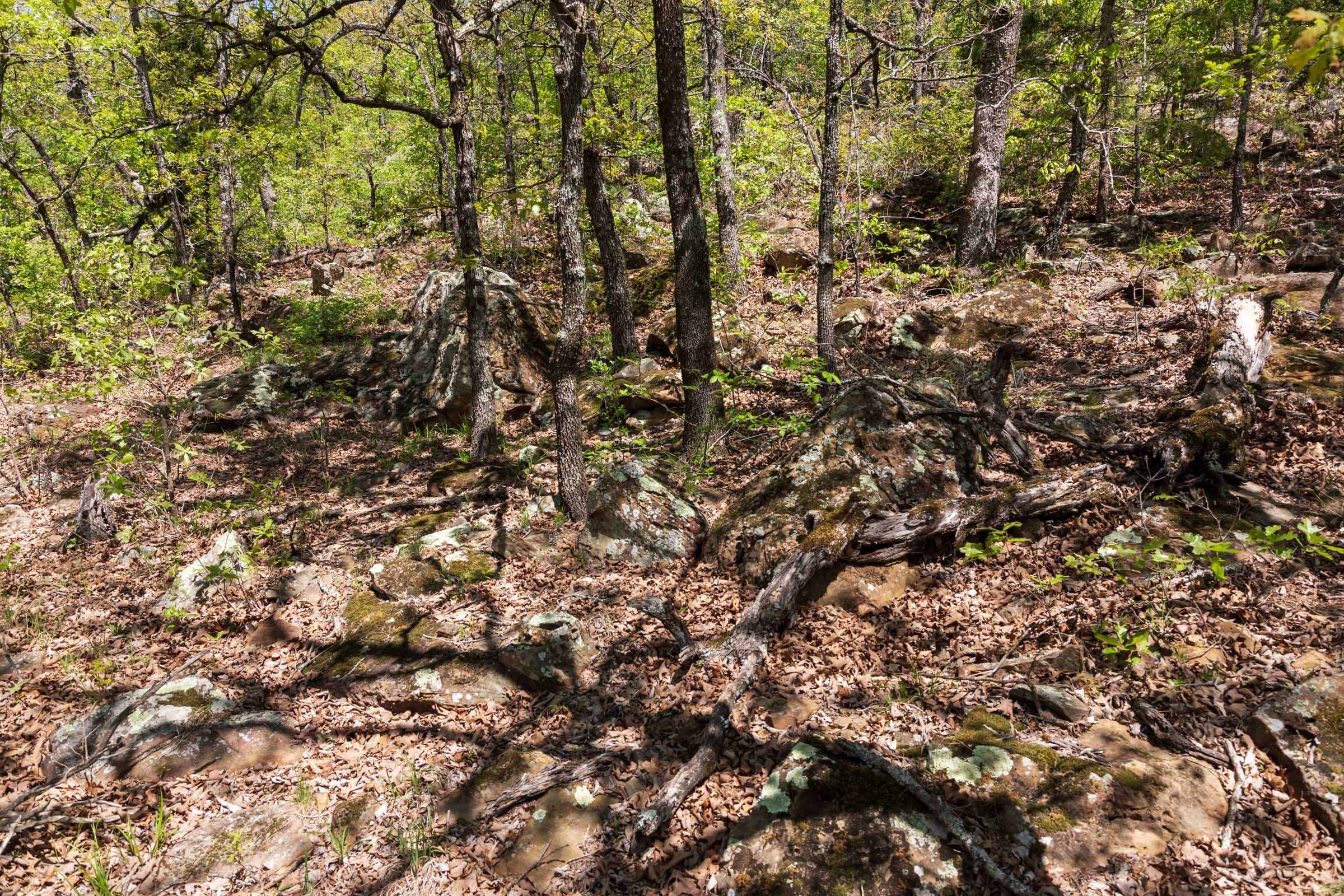 Allie’s Acres Tract 4 photo 8
