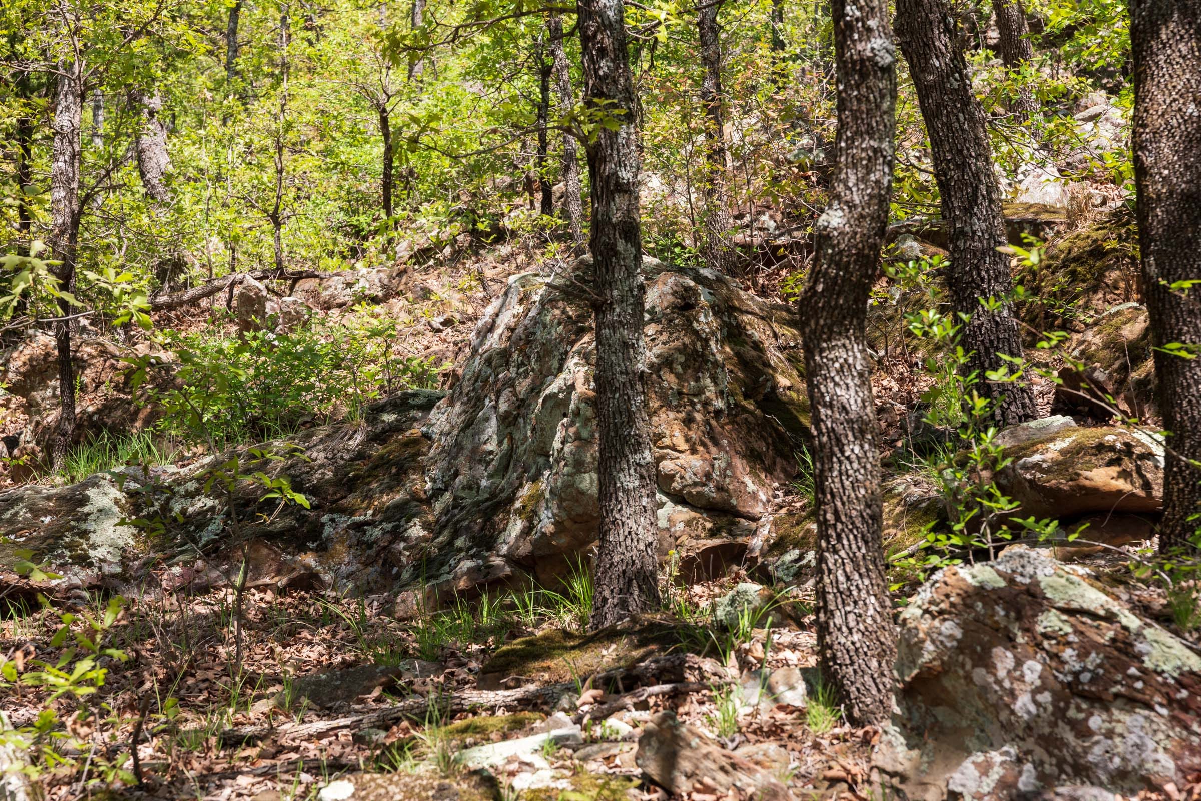 Allie’s Acres Tract 4 photo 12