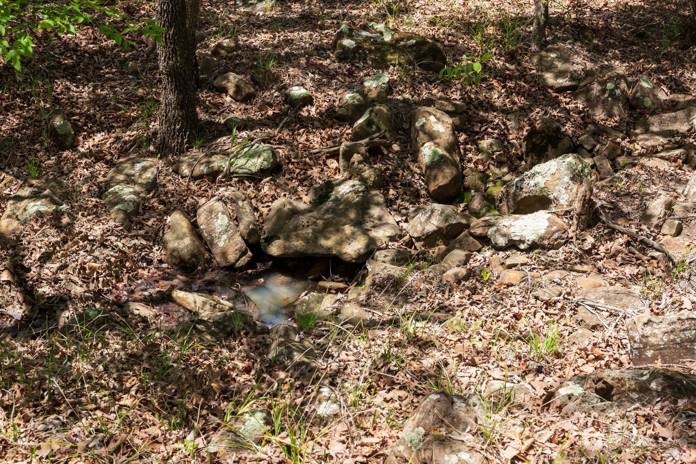 Allie’s Acres Tract 4 photo 15