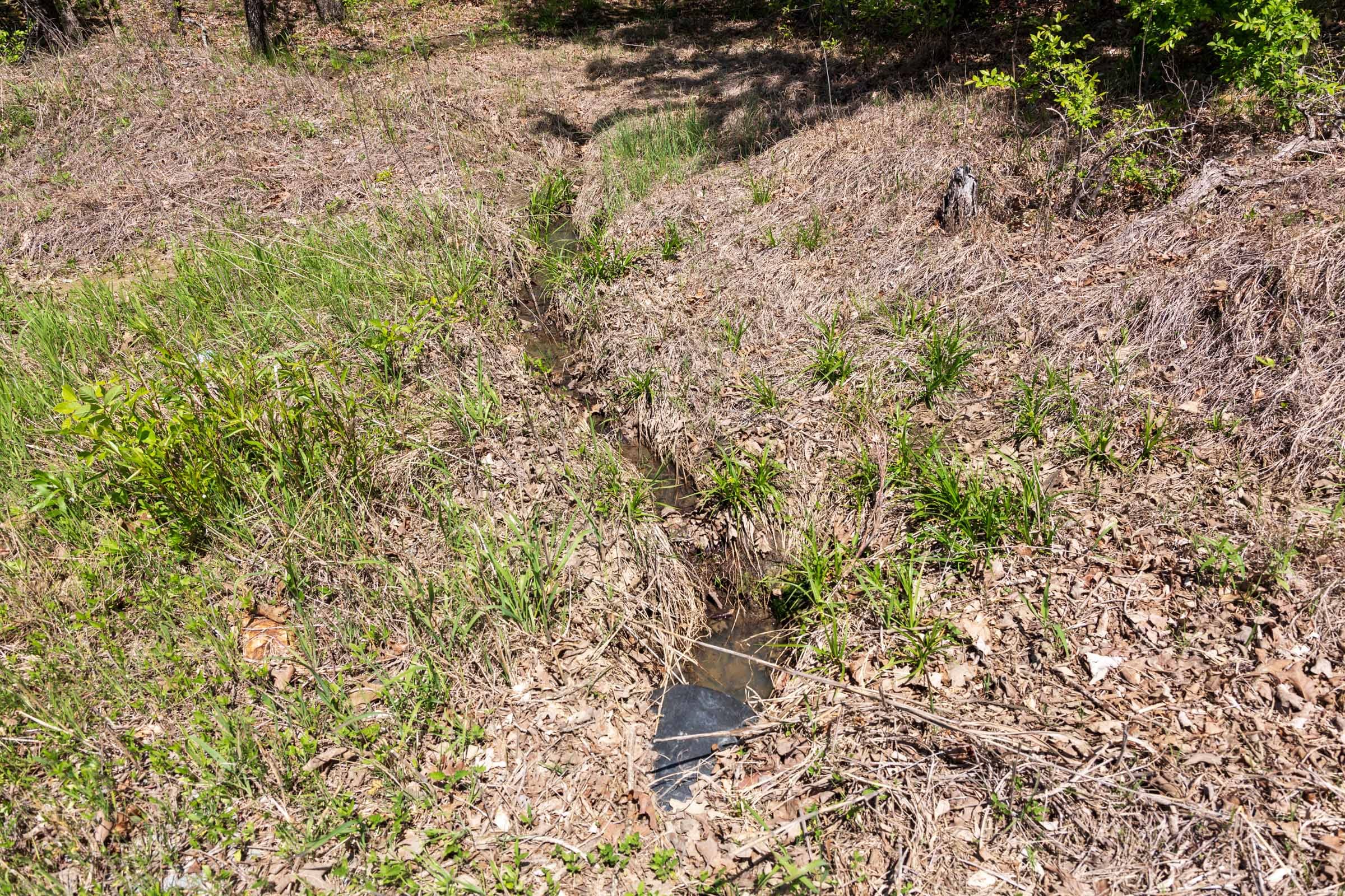 Allie’s Acres Tract 4 photo 18