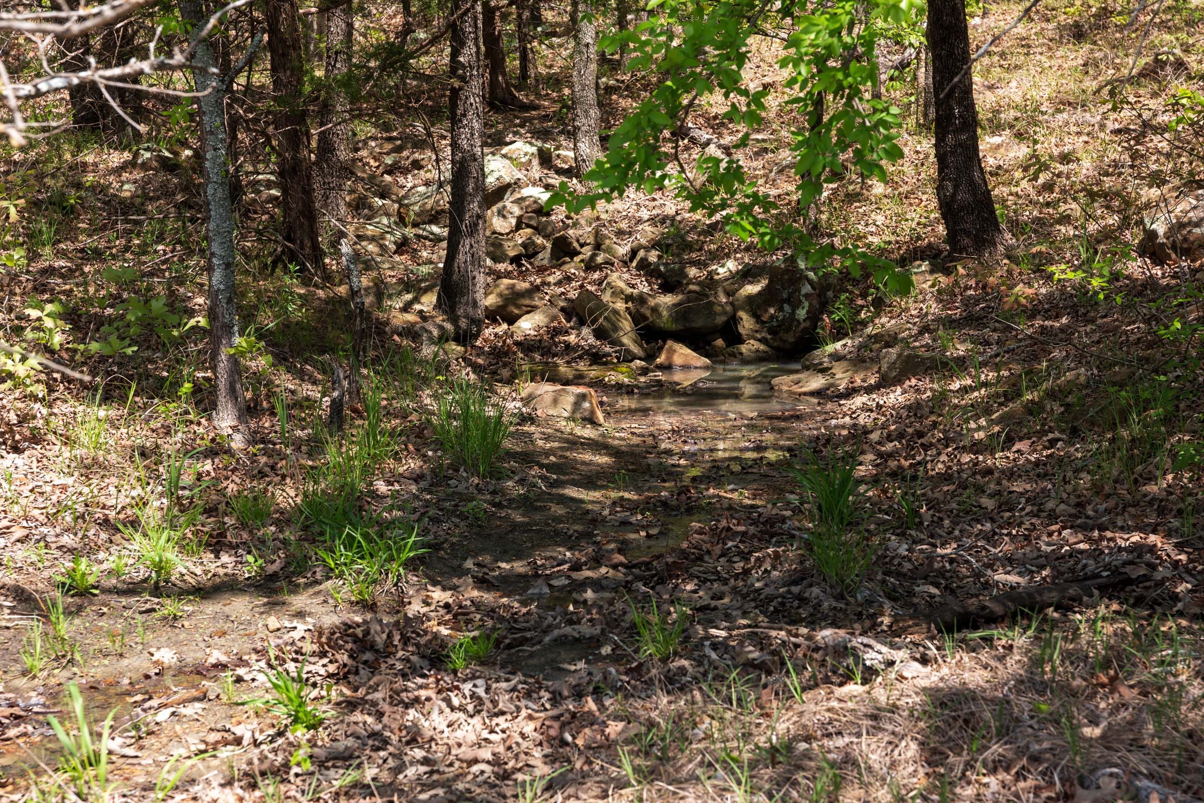 Allie’s Acres Tract 4 photo 19