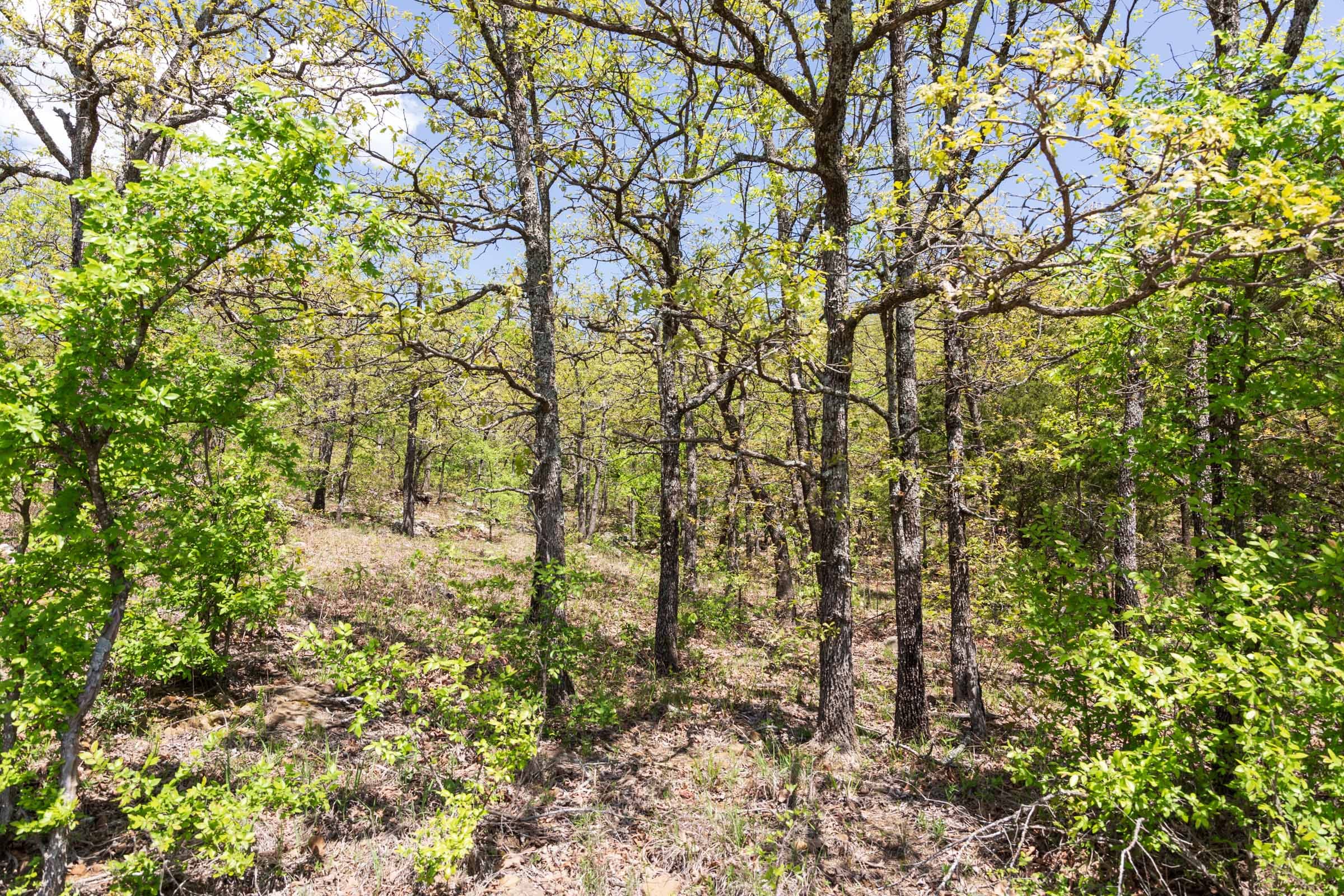 Allie’s Acres Tract 4 photo 20