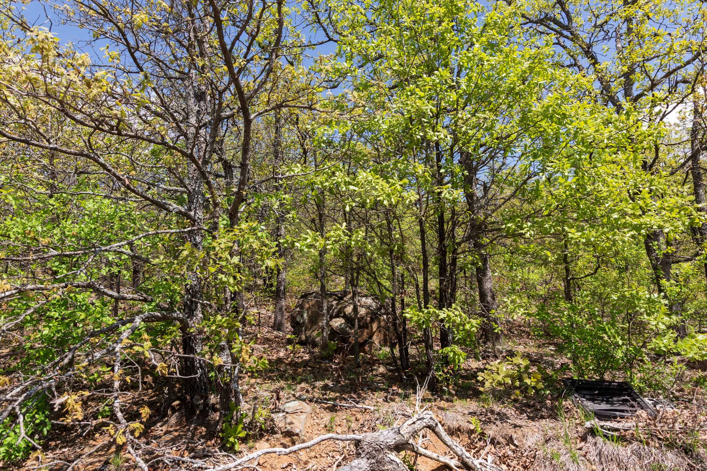 Allie’s Acres Tract 4 photo 22