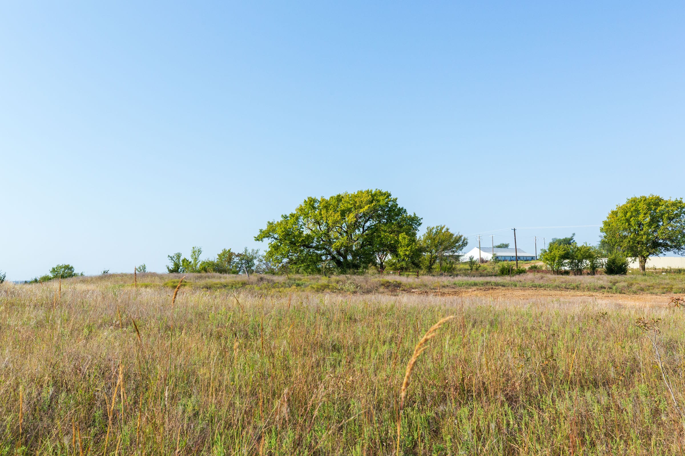 Canyon Creek Tract 8 photo 13
