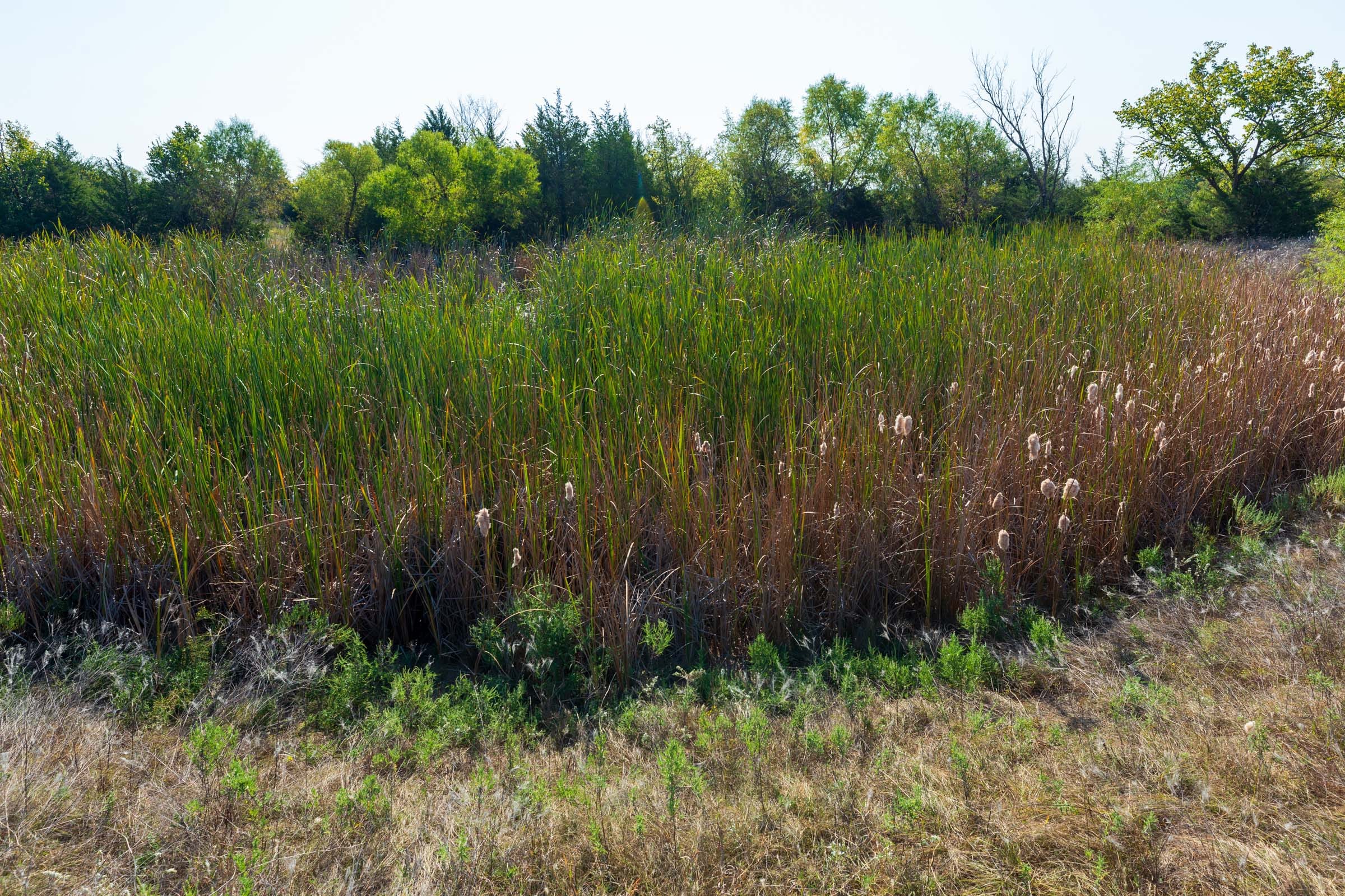 Canyon Creek Tract 8 photo 3