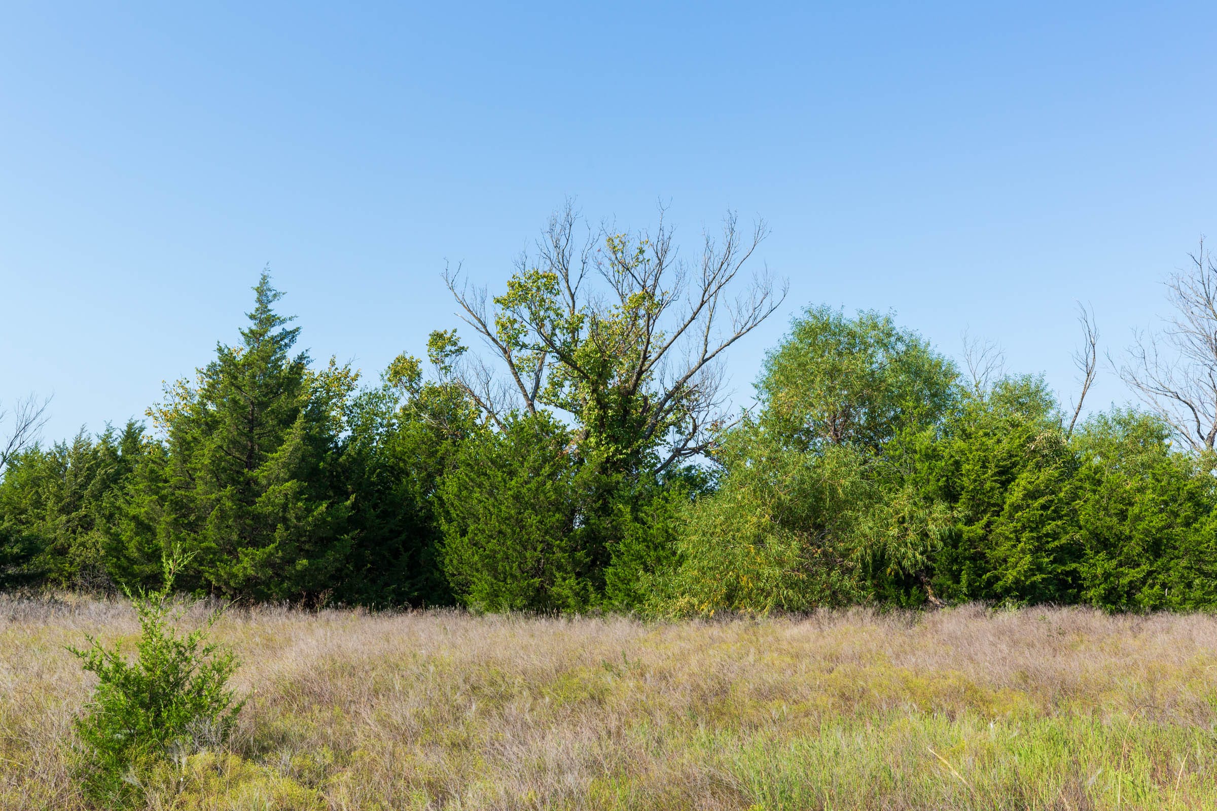 Canyon Creek Tract 8 photo 7