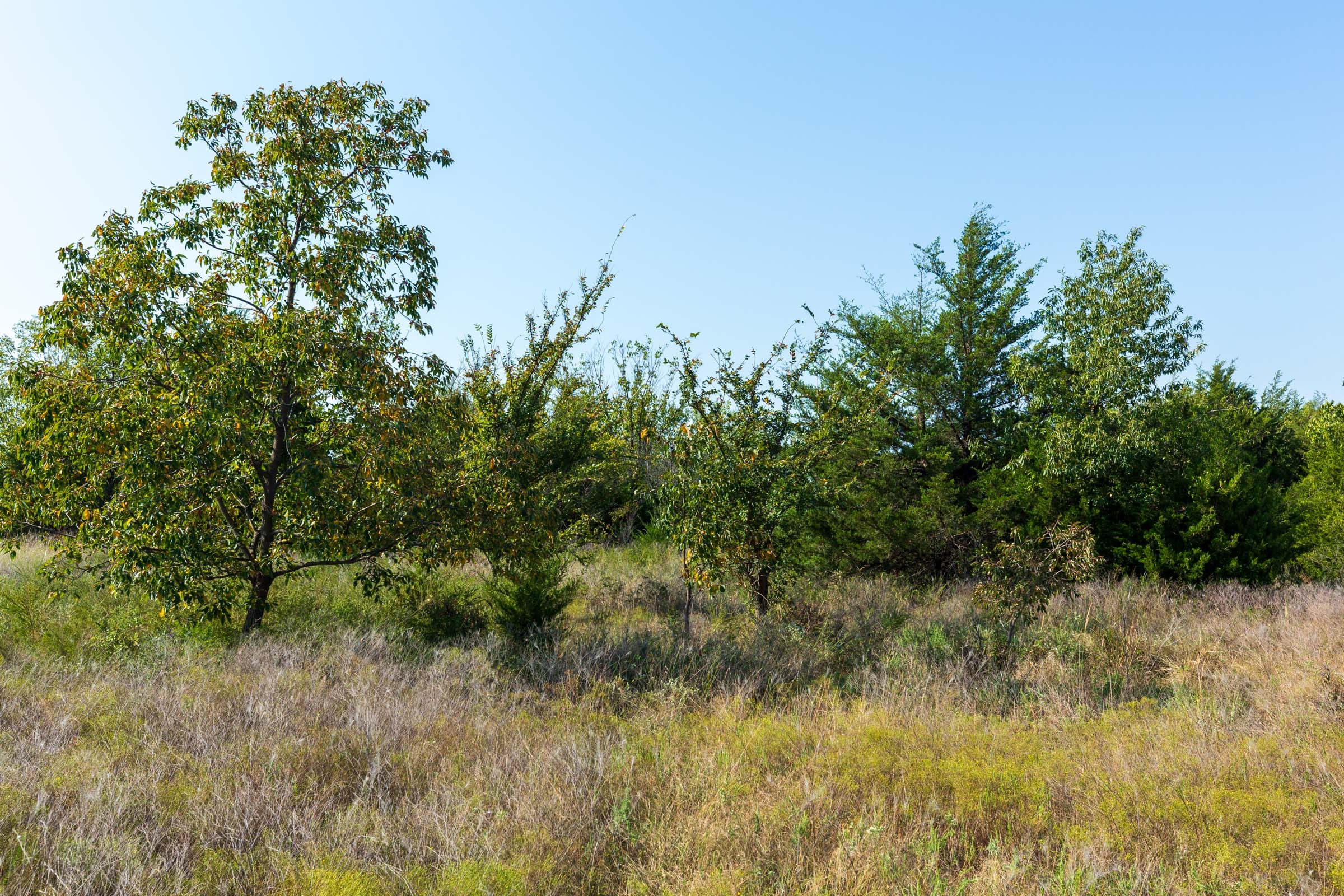 Canyon Creek Tract 8 photo 10