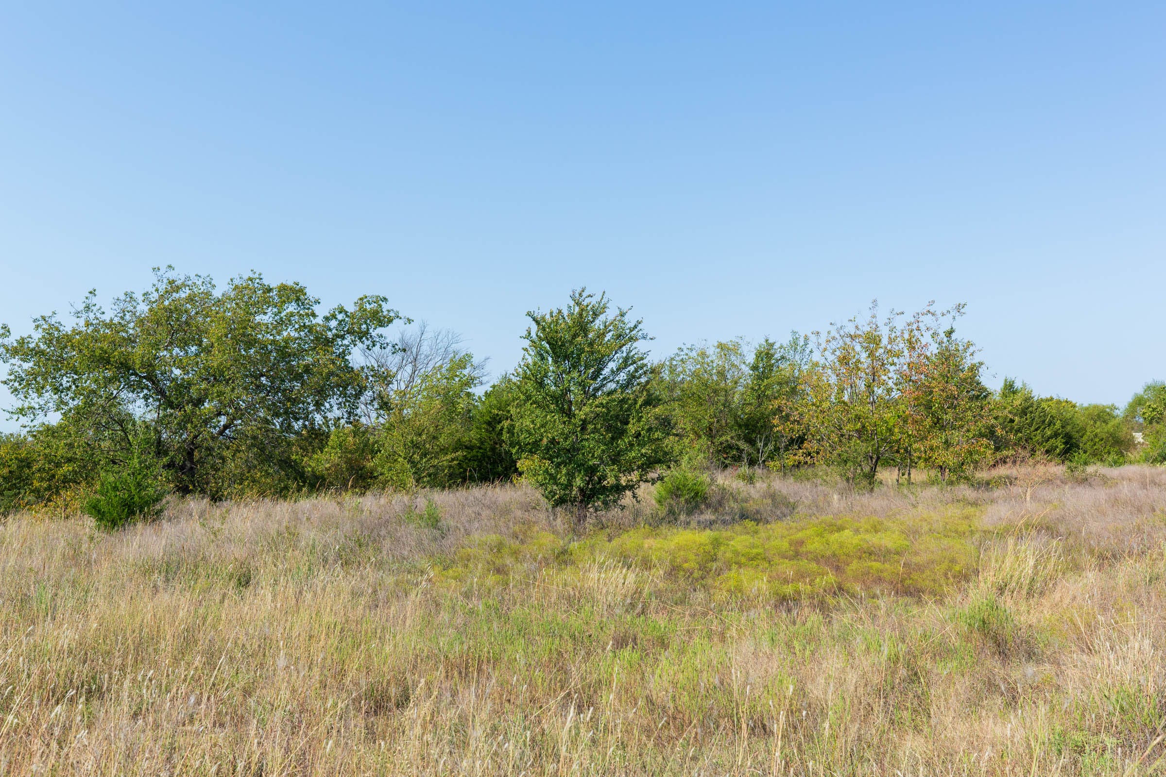 Canyon Creek Tract 8 photo 11