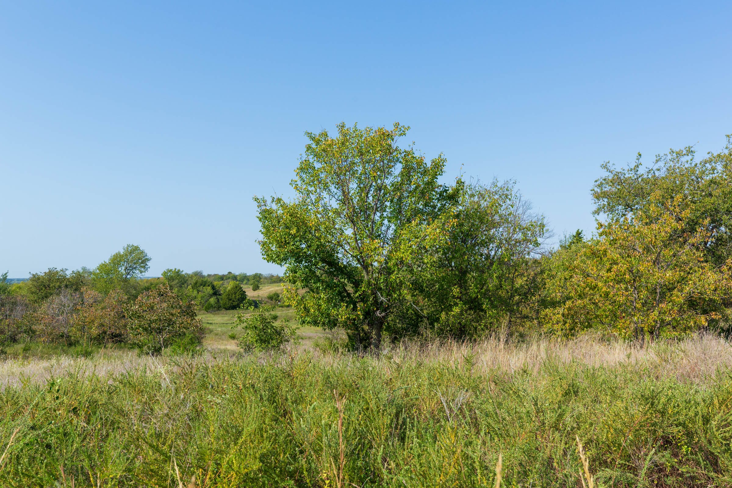 Canyon Creek Tract 8 photo 9