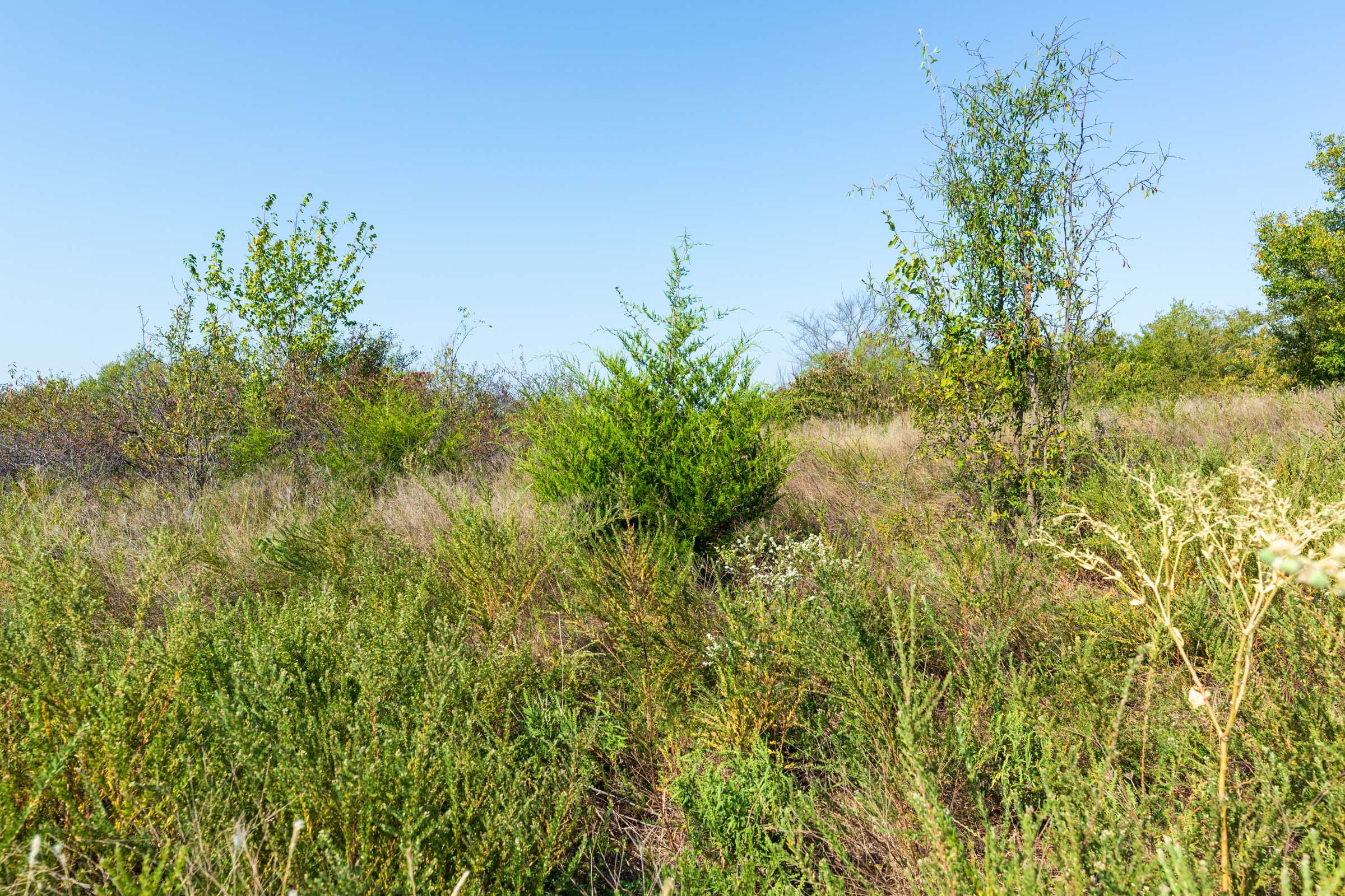 Canyon Creek Tract 8 photo 8