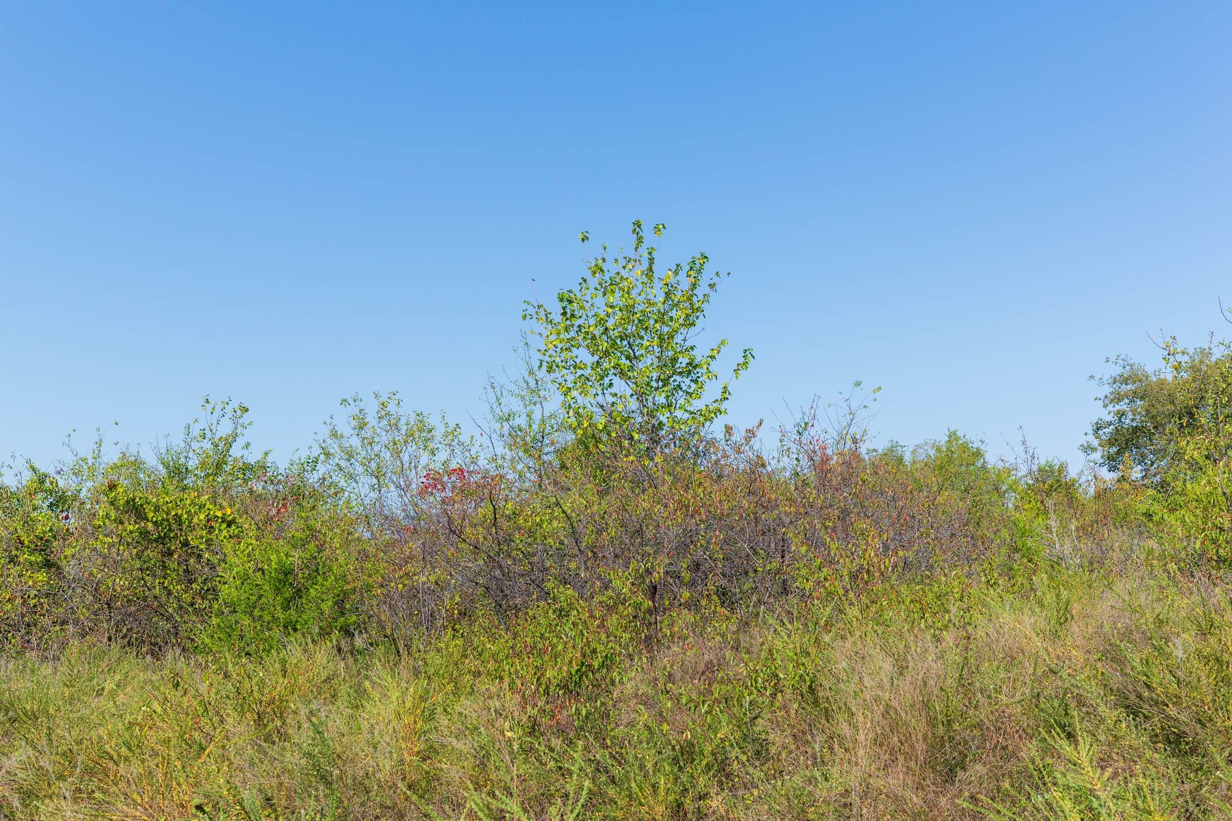 Canyon Creek Tract 8 photo 12
