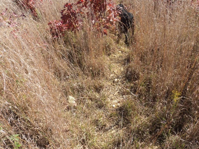 Blue Sky Ranch Tract 10 photo 10
