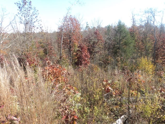 Blue Sky Ranch Tract 10 photo 11