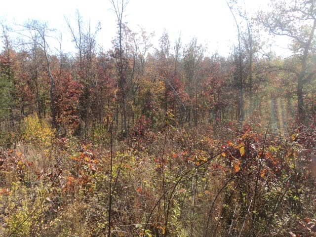 Blue Sky Ranch Tract 10 photo 12