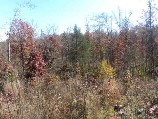 Blue Sky Ranch Tract 10 photo 13