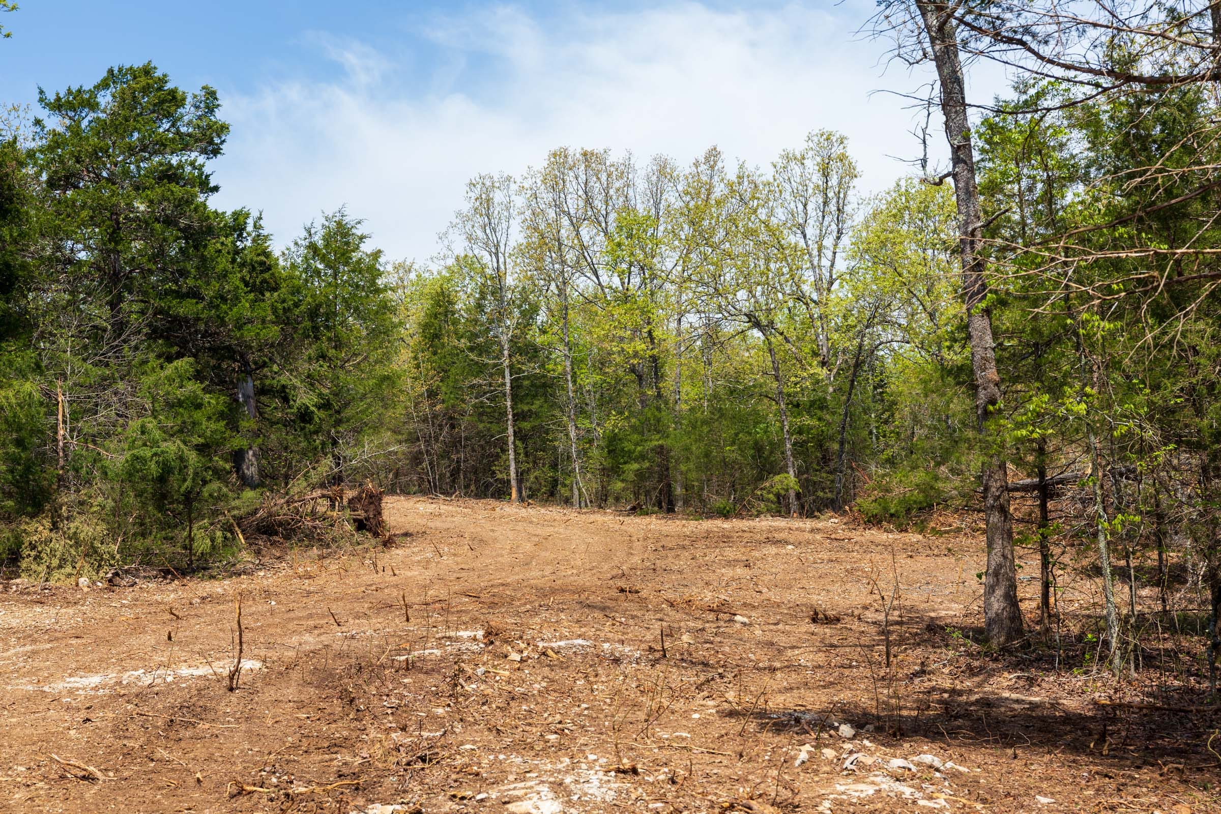 Autumnwood Tract 4 photo 2