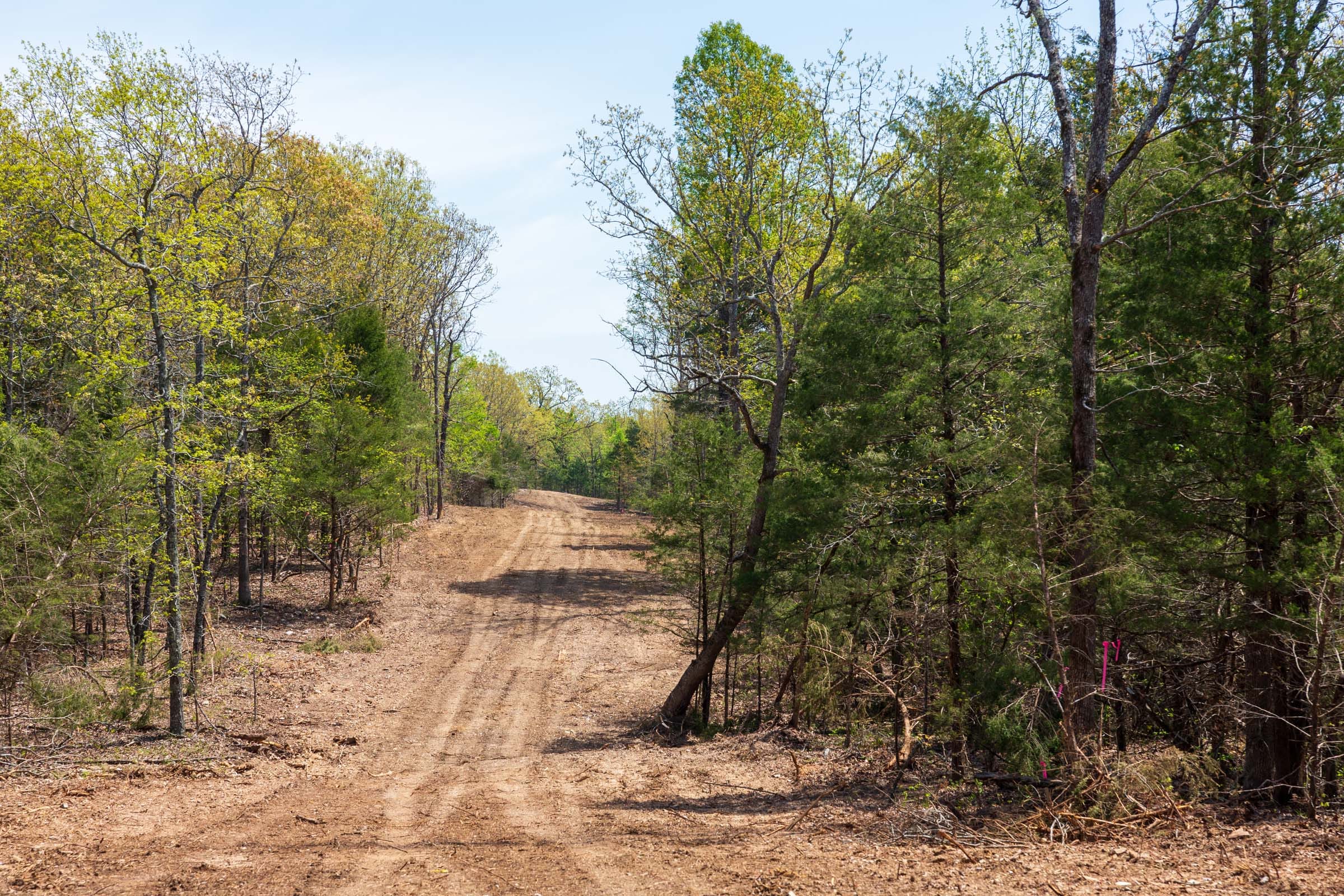 Autumnwood Tract 4 photo 3