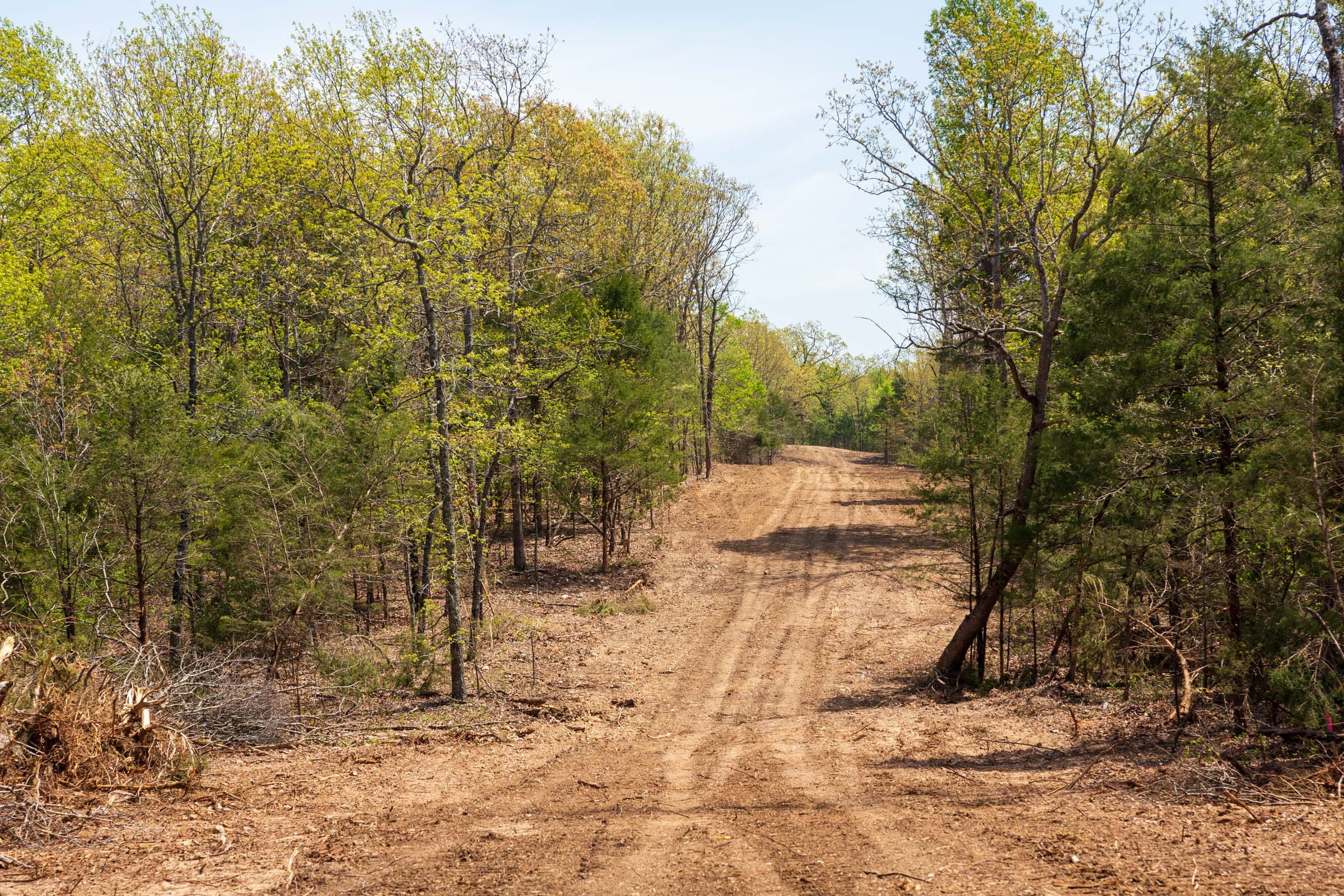 Autumnwood Tract 4 photo 1