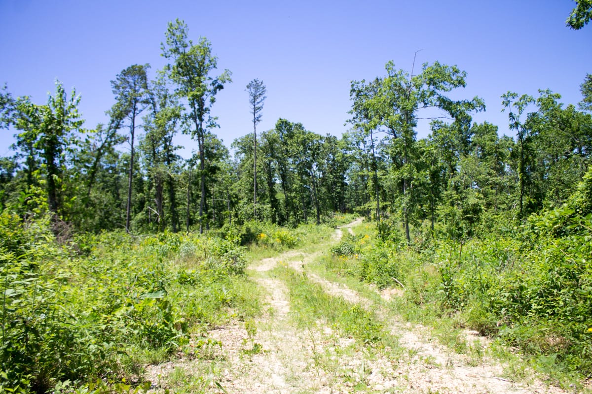 Timber Crossing Tract 24 photo 1