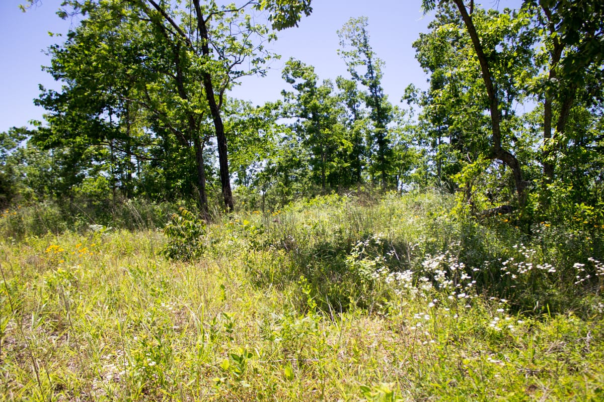 Timber Crossing Tract 24 photo 13