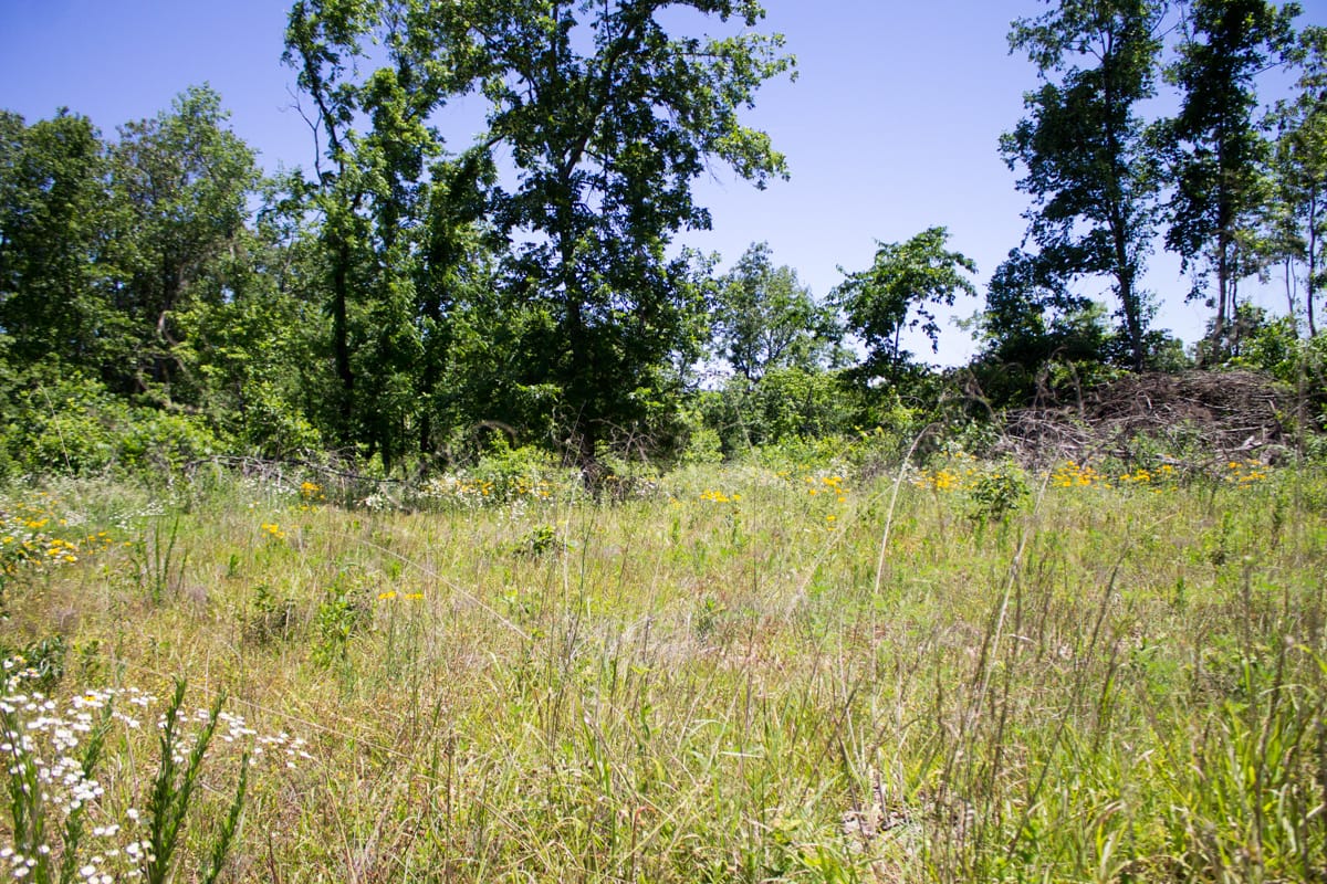 Timber Crossing Tract 24 photo 15