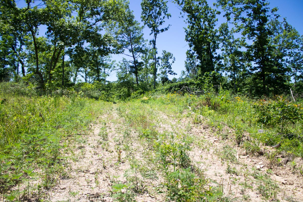 Timber Crossing Tract 24 photo 16