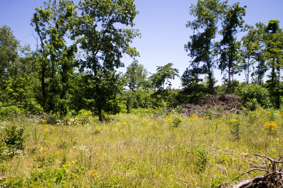 Timber Crossing Tract 24 photo 17