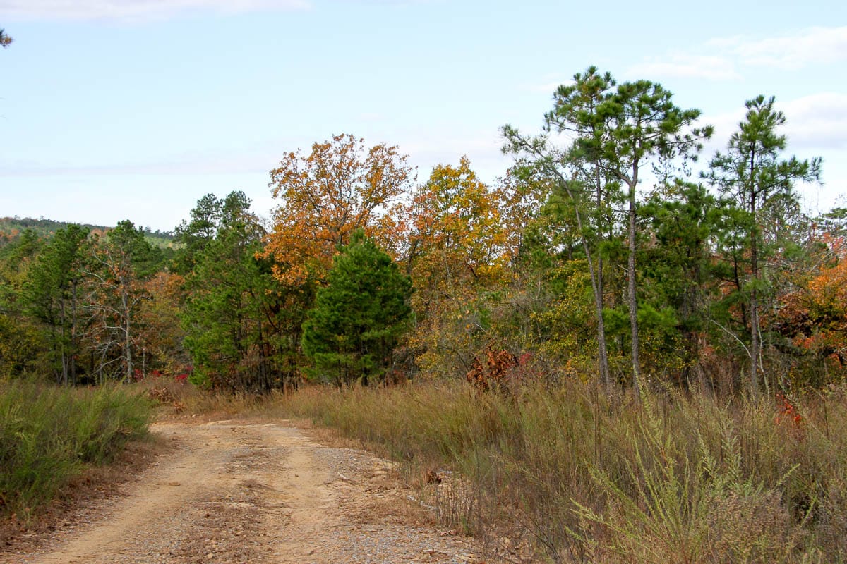 Stone Creek Phase III Tract 59 photo 6