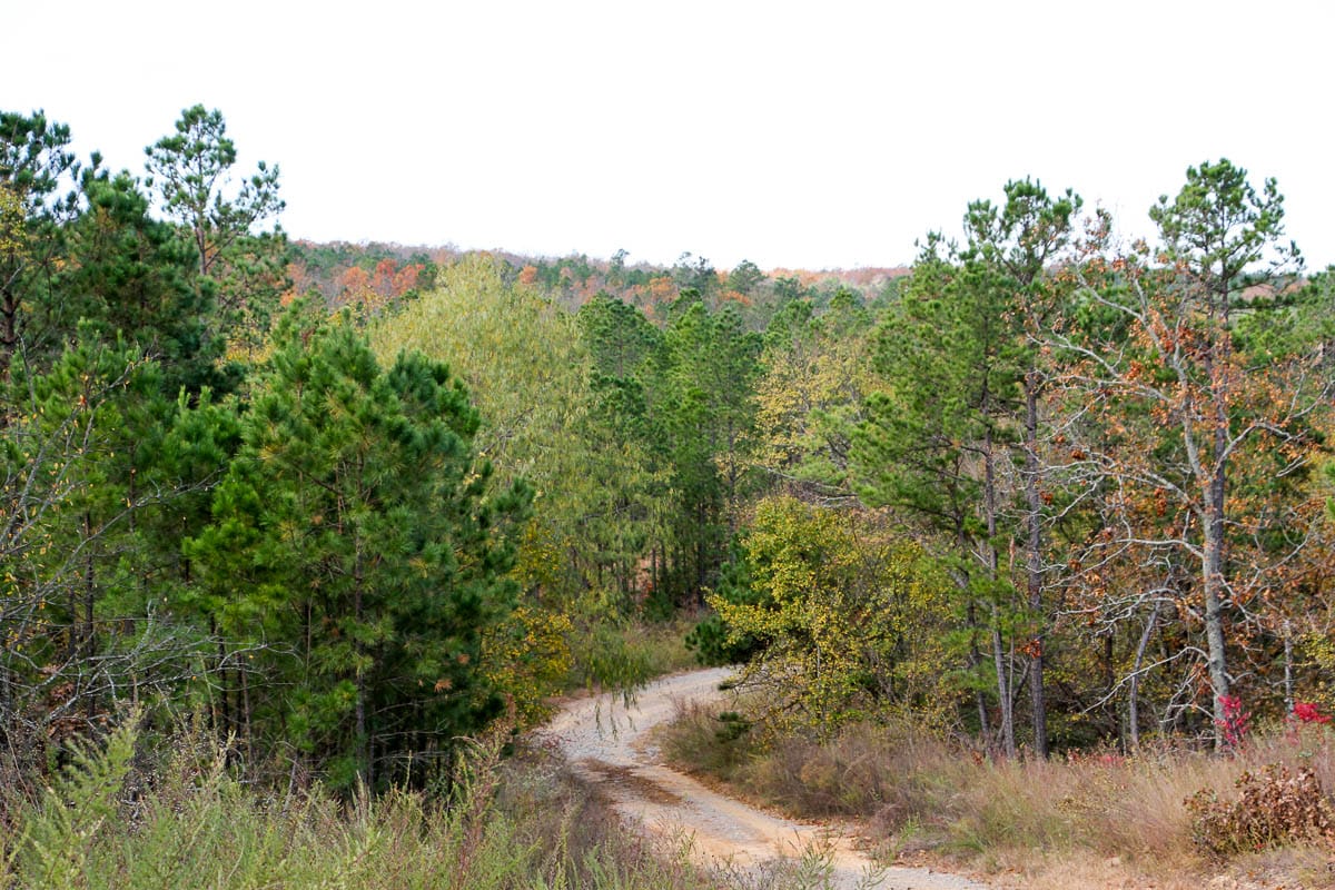 Stone Creek Phase III Tract 59 photo 7