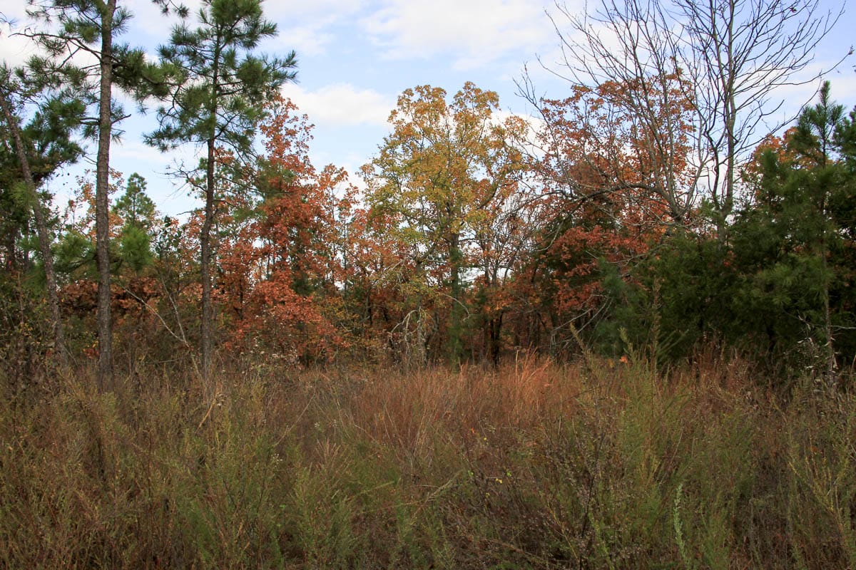 Stone Creek Phase III Tract 59 photo 9