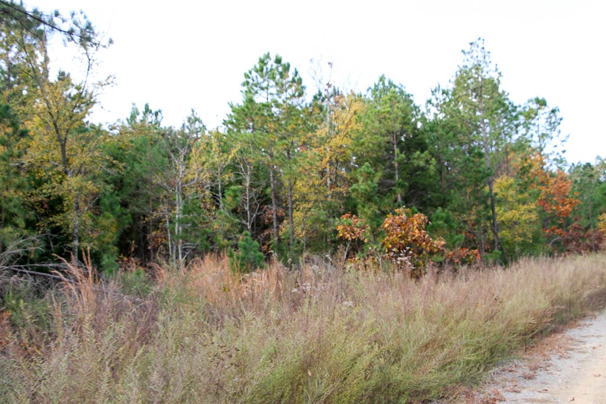 Stone Creek Phase III Tract 59 photo 12