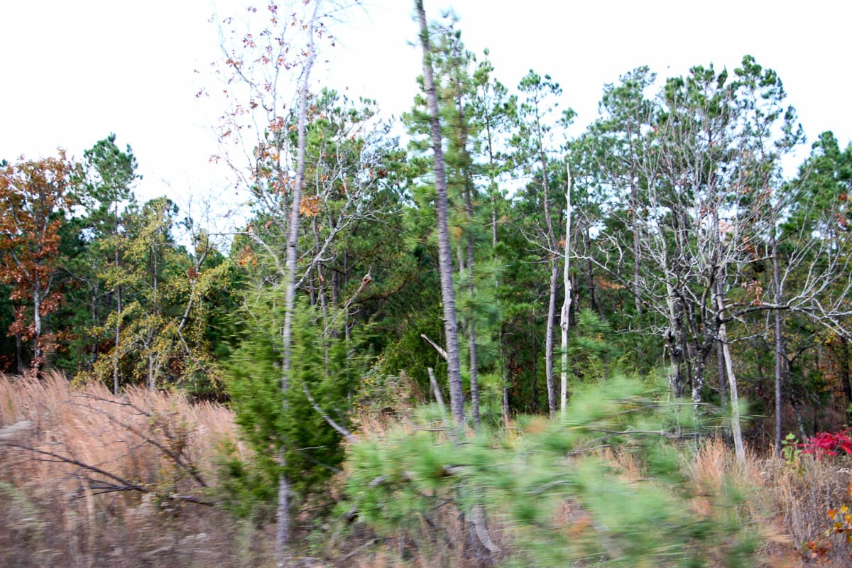 Stone Creek Phase III Tract 59 photo 14