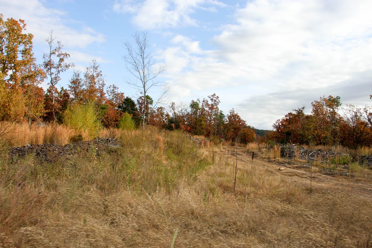 Stone Creek Phase III Tract 59 photo 17