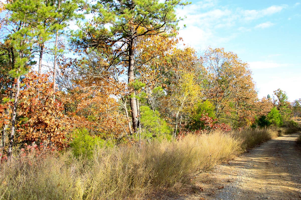 Stone Creek Phase III Tract 59 photo 18