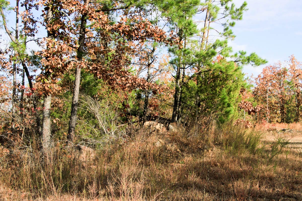 Stone Creek Phase III Tract 59 photo 19