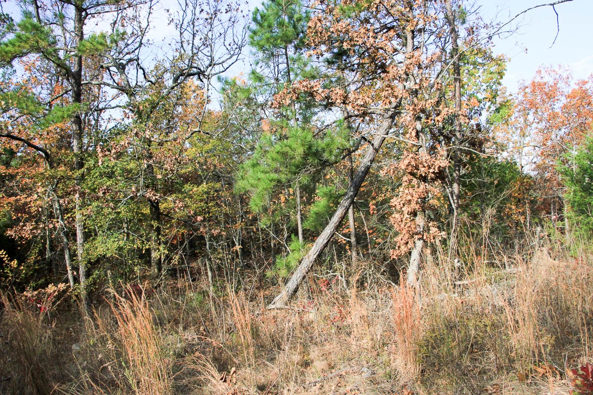 Stone Creek Phase III Tract 59 photo 20