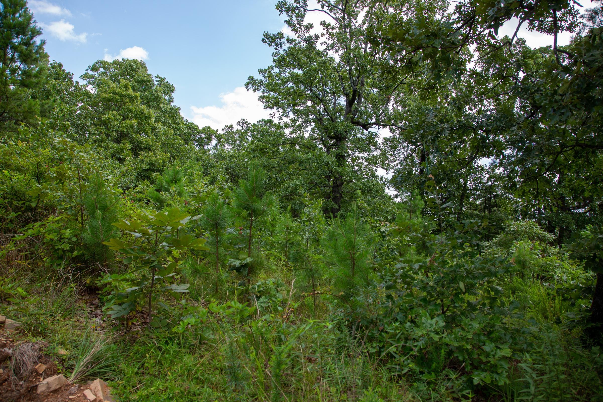 Tyler Stone Ranch Tract 19 photo 5
