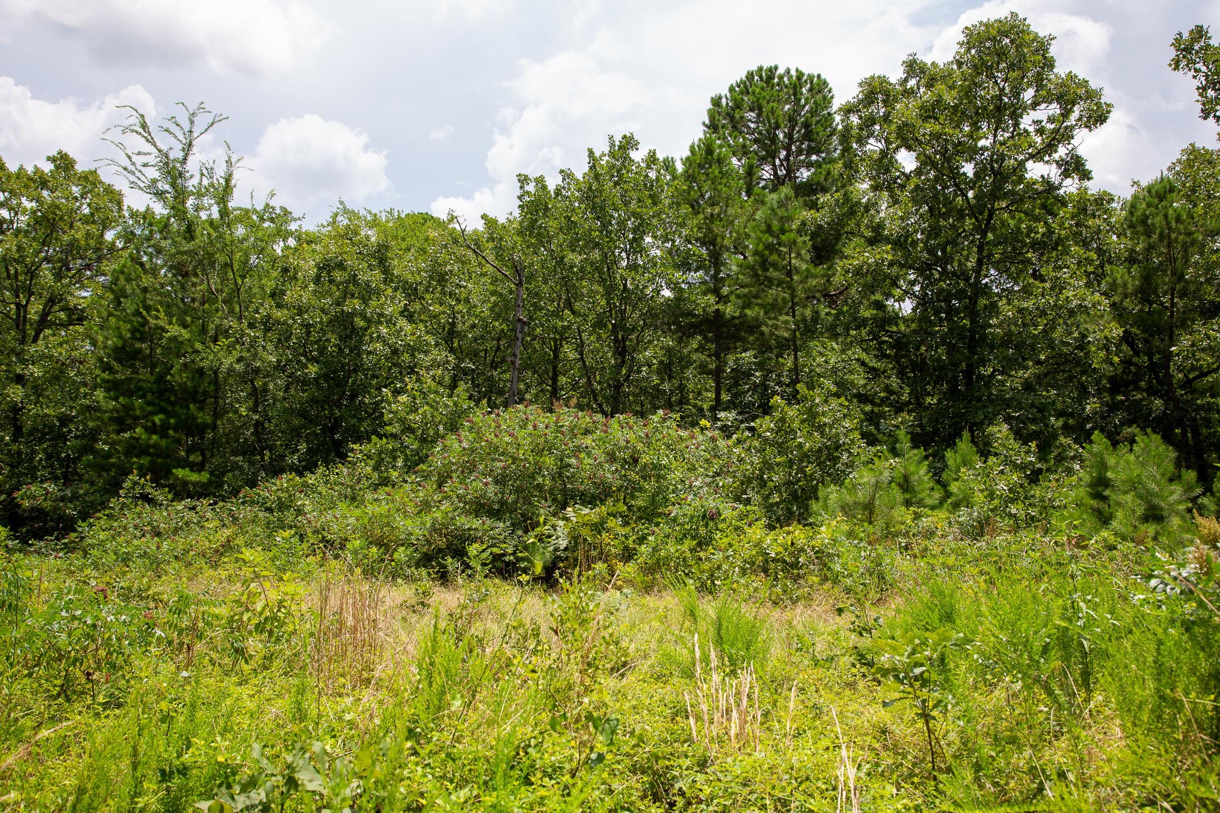 Tyler Stone Ranch Tract 19 photo 6