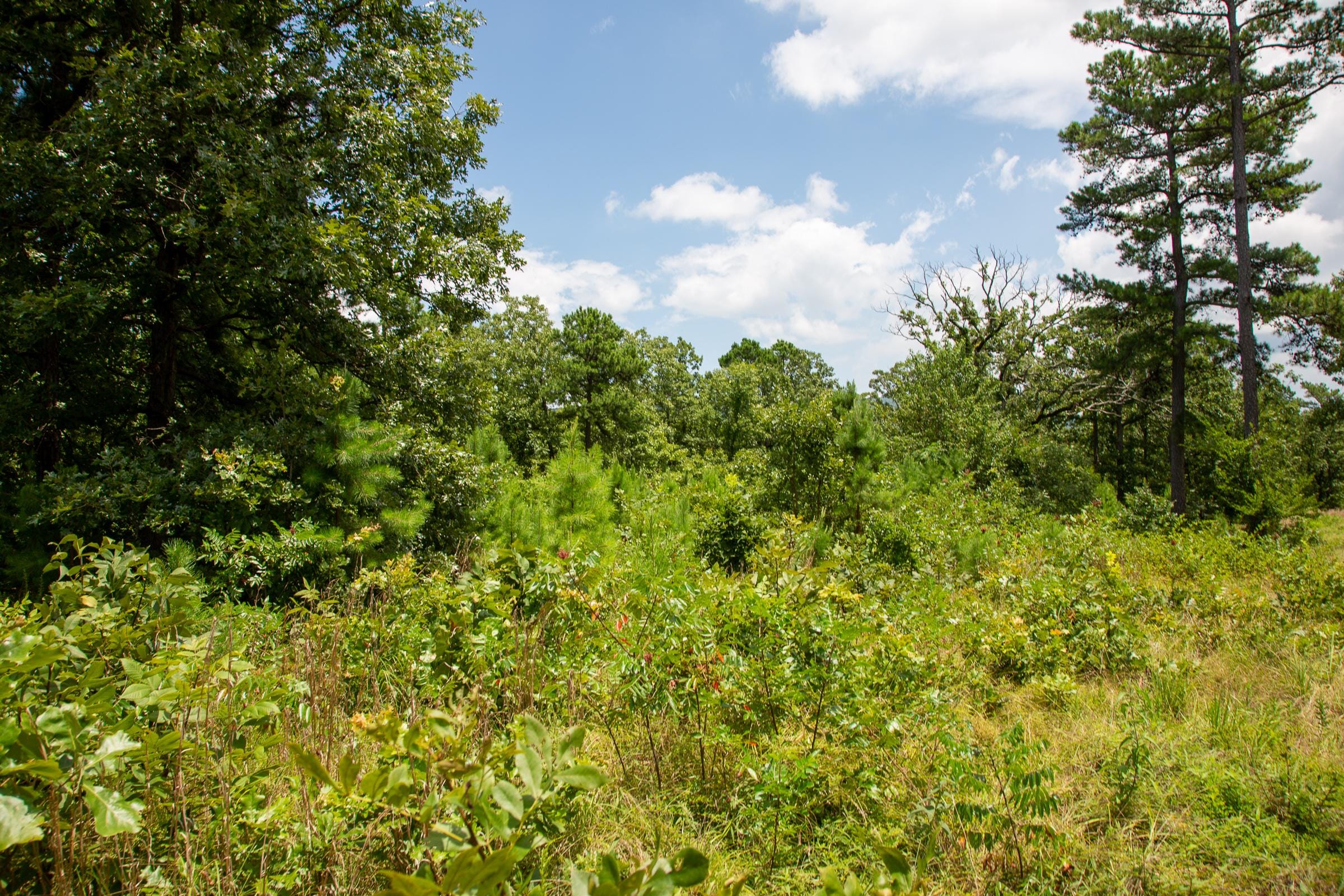 Tyler Stone Ranch Tract 19 photo 8